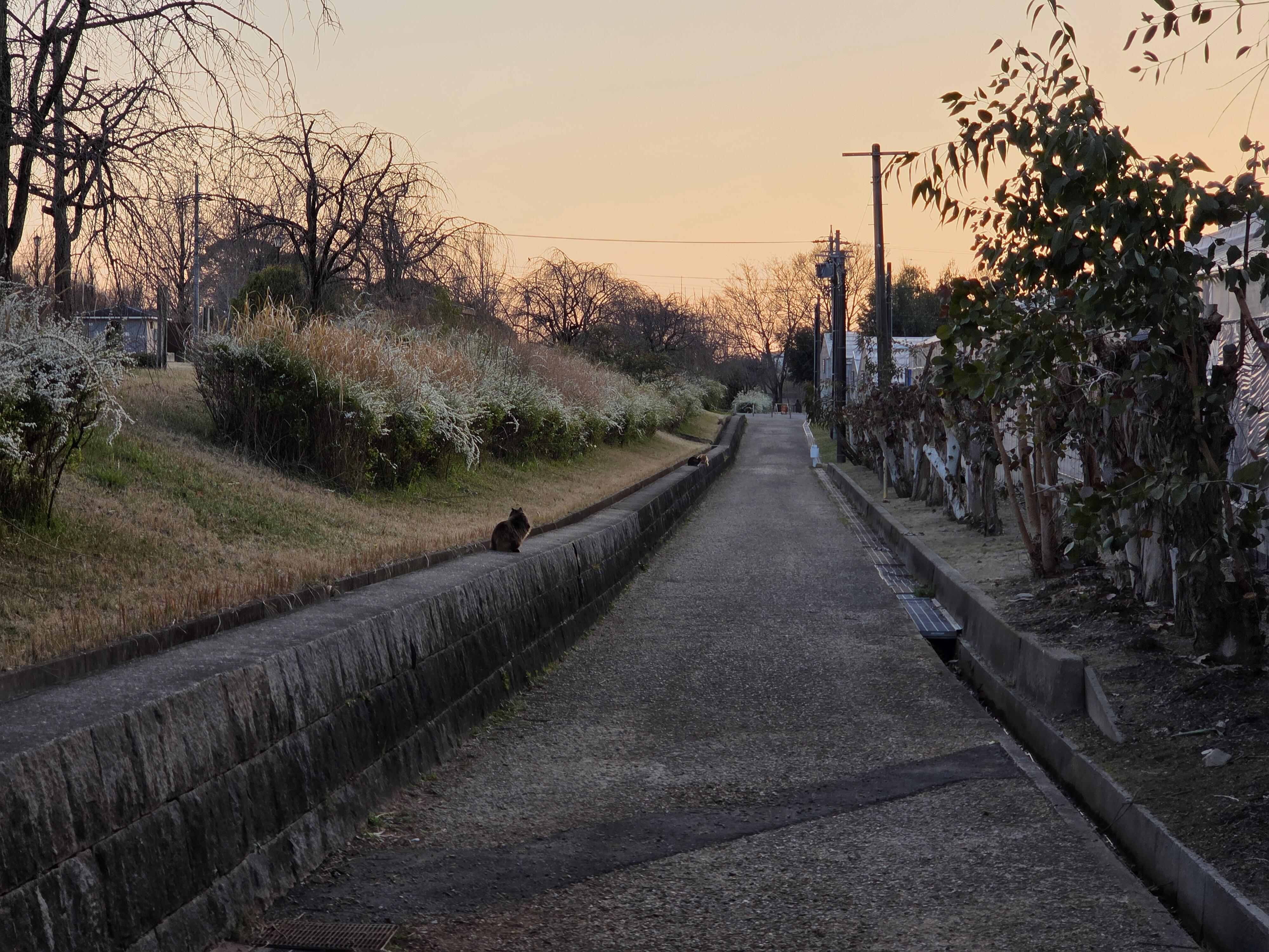 The Developers getting the most out of AI are great story tellers